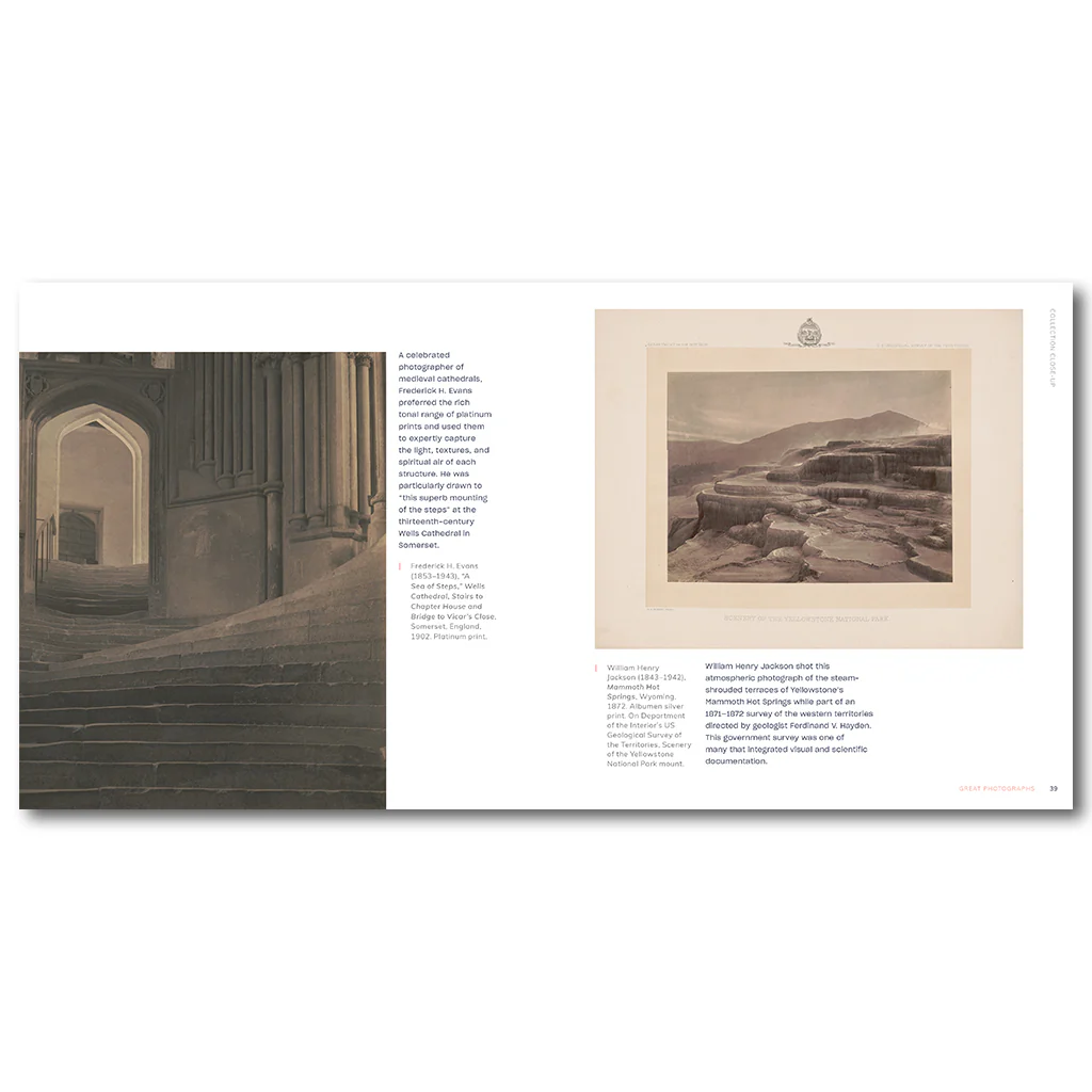 Joy of Looking - Image 3