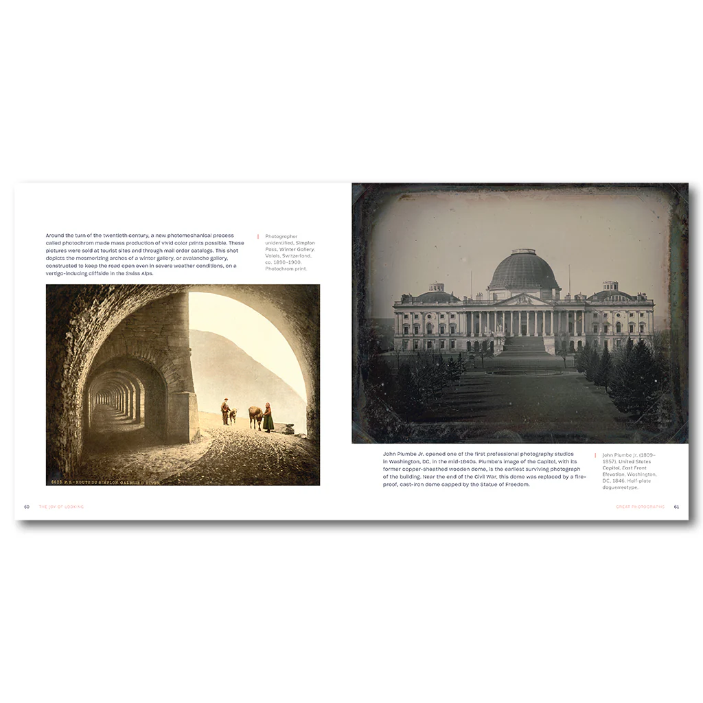 Joy of Looking - Image 4